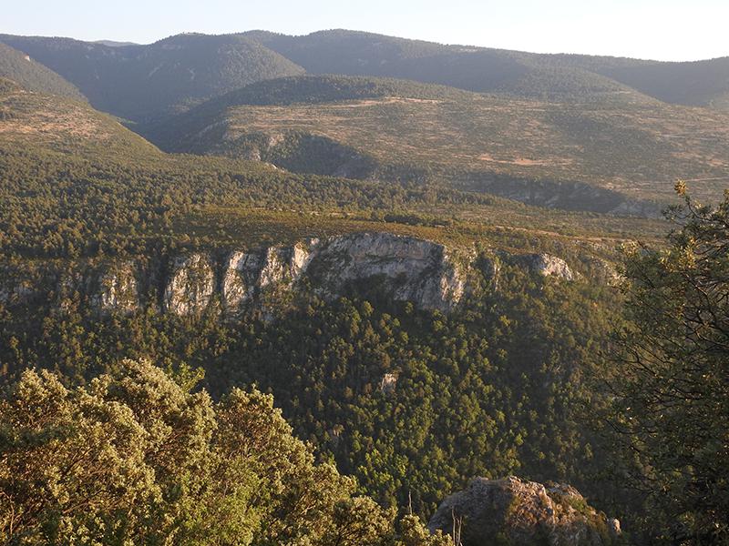 BOUMORT, NATURALESA EN ESTAT PUR